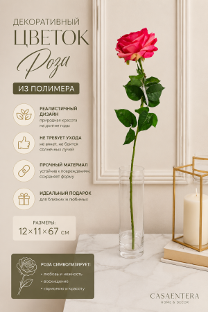 ChatGPT Image 20 июн. 2026 г., 15_07_02