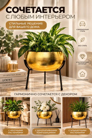 Золотое кашпо для любого интерьера