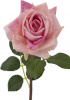 31324_A0005-PINK_6