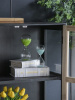 3505_73221-LIME_8