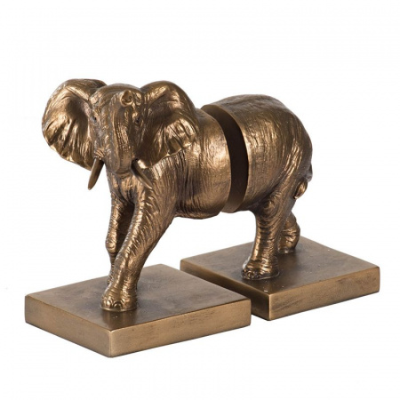 21155_77335_1