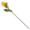 6621_9a9dee2719dacd914b7e1f67b2747c03