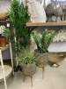 57-1742_8
