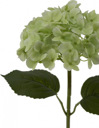 7136_A0015-GREE_5