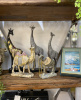 815534_14