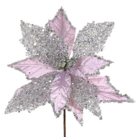 1204_8d3d532559113e42d19ee9c093c03c14
