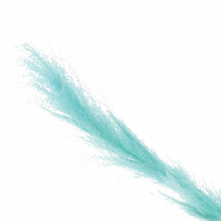 4074_07f3b32b37ba873826e3e0e8caffb082