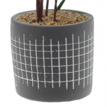 19566_db904add6111b8b400bd6d026ea841a6