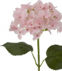 31466_A0015-PINK_5