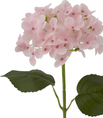 31466_A0015-PINK_5