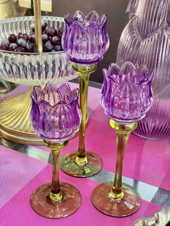 TULIP purple_1
