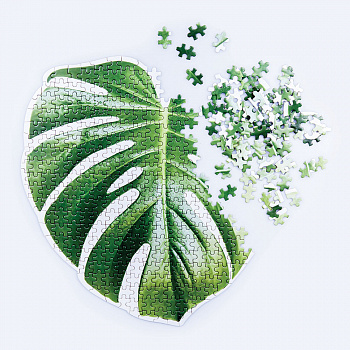 Пазл DOIY Monstera DYPUZZLMO