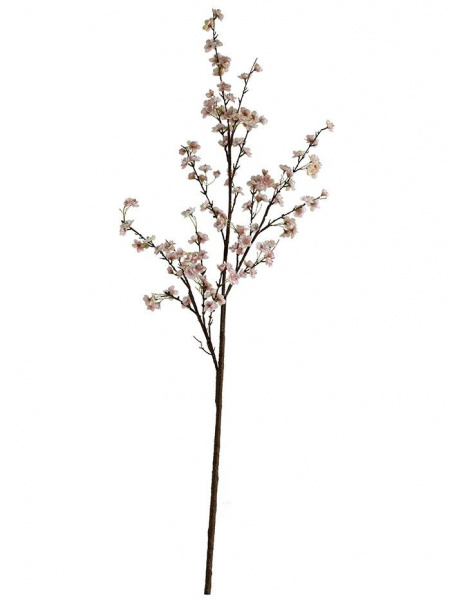 31489_A0023-PINK_1