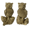 6845_8691c4e74593ac42da13fcc8e608bc3c