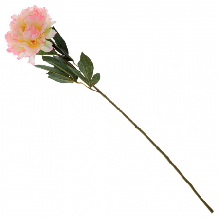 43488_66feb7556c4c19792503e998eca6a30c