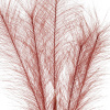 47048_0920e00527b44d1bdb62fa7ef62a299c