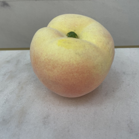 7813a_2