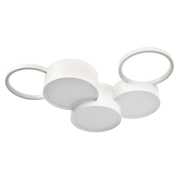 103175 White_1