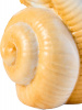 34164_HY1667_6