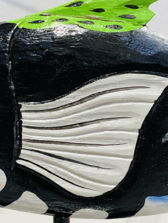 IMG_2797 (3)