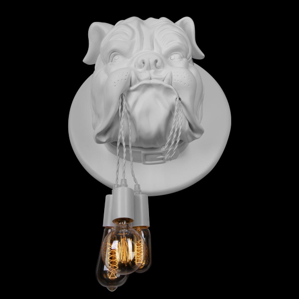 10177 White_4