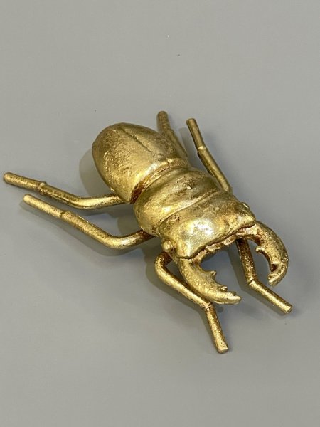 IMG_5475 (2)