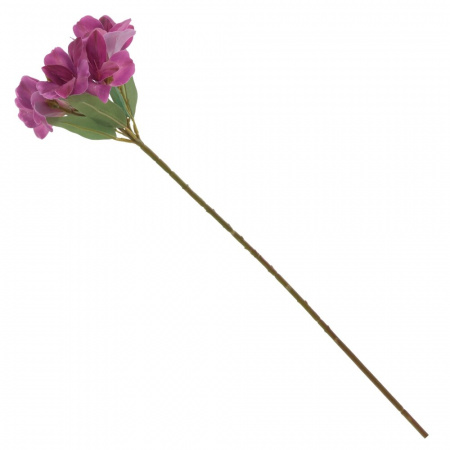 16366_95e157e7dc1de3da49f1b8b9f3bbc6ff