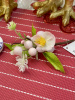 IMG_3771 (2)