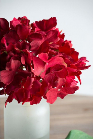 28449_58148-RED_4