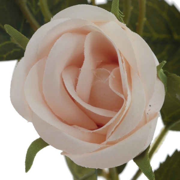 16542_ef9bbbde15a2774320f2d98ed87820ec