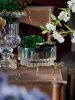 3642_GLASS_7