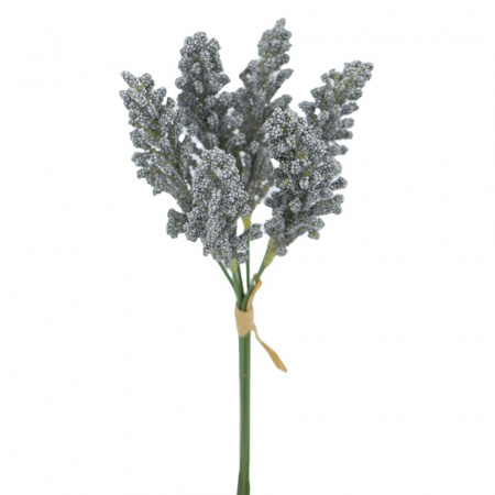 17580_SA11646-GRAY_1