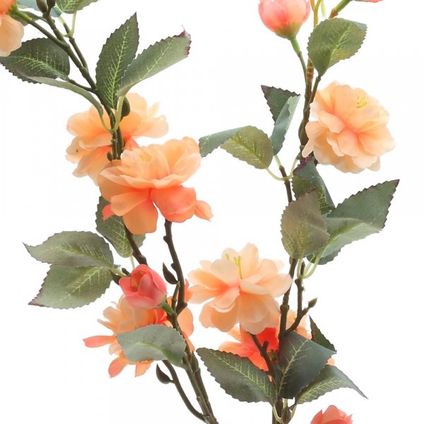 19155_fbb7b67905bdb8efd579fbbb842e9bb6