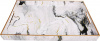 17391_43296_21