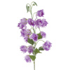 32022_889f8dc8acd70d388c1817f0e42fa402