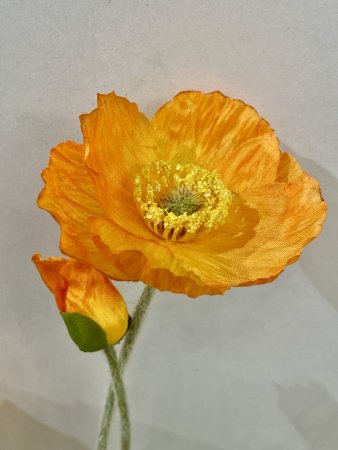IMG_2021 (2)