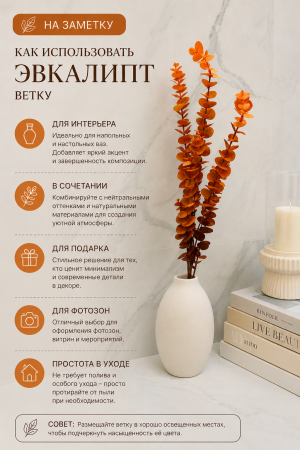 ChatGPT Image 20 июн. 2026 г., 14_24_04