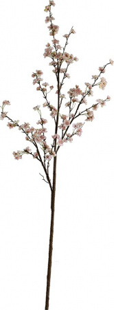 18284_A0023-PINK_10