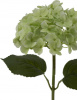 31436_A0015-GREE_5