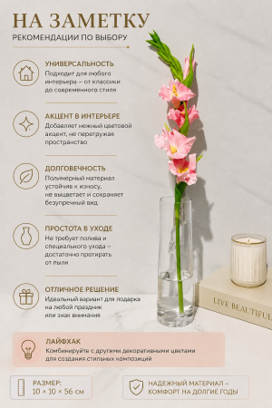 ChatGPT Image 3 июн. 2026 г., 23_01_25