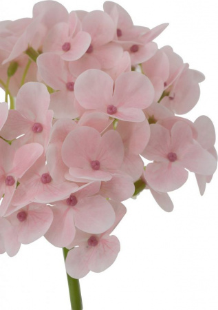 31467_A0015-PINK_6