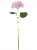 31461_A0015-PINK
