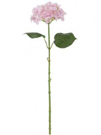 31461_A0015-PINK