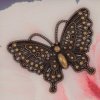 1906_93d35bb94eba73fc3248f971aefee6b1