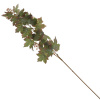 39705_a8f25b2f26684f7aeca623e3e905ae35