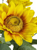 33473_SA21999-YELL_9