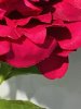 IMG_4635 (4)