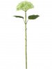 31431_A0015-GREE