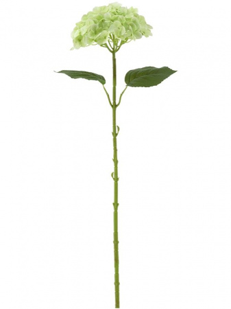 31431_A0015-GREE