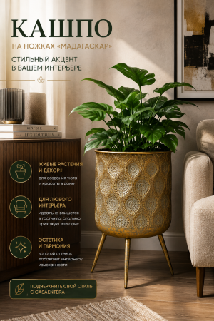 ChatGPT Image 1 сент. 2026 г., 01_34_21